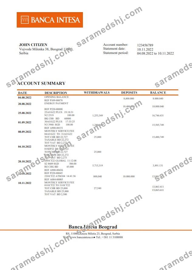 Serbia Banca Intesa bank statement